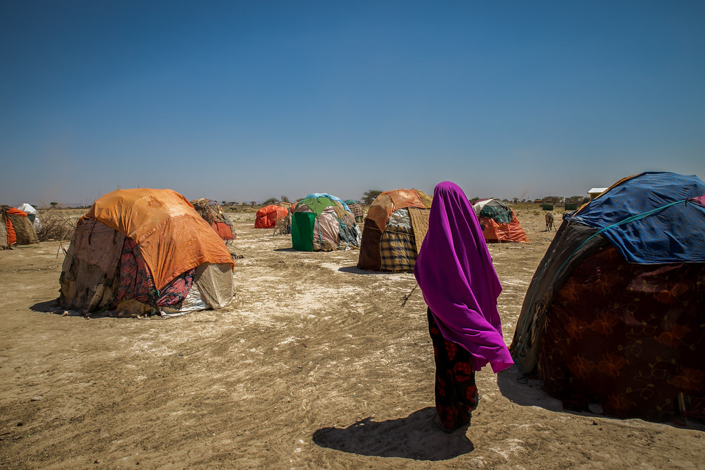 Somalia | Free Press Unlimited