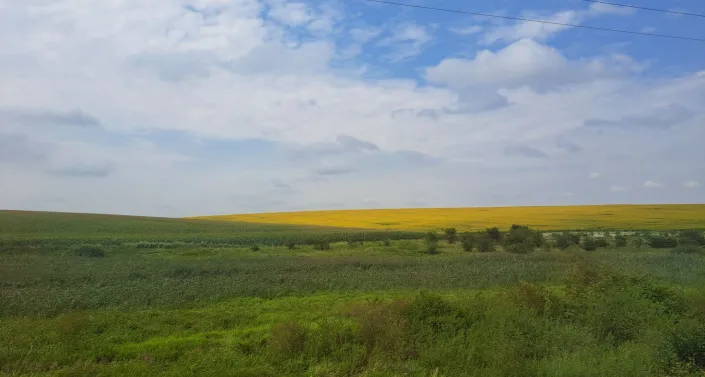 View from the train in Ukraine