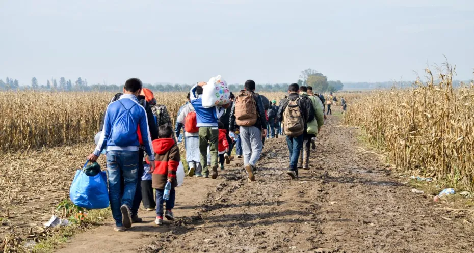 Refugees between the border of Serbia and Croatia